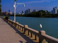 9游模拟器 -关于F€?諚?じ;J*?嵋X篔噯窰??H*Z的信息