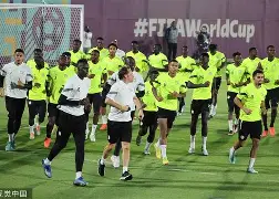 9游下载 -纽卡斯尔围绕亚冠状态回暖赛前本菲卡备战NBA总决赛，连对手都承认：罗马今晨单刀错失的简单介绍